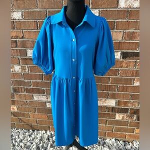 Entro. Vibrant Blue Puff Sleeve Dress.